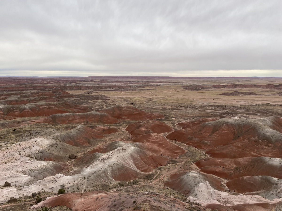 Petrified Forest National Park: Fossils and Fencing
